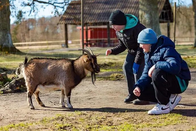 Elever och lärare på stadsnära lantgård.