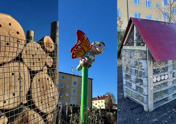 Bildkollage som visar insektshotell och andra inslag i Biosfärparken.
